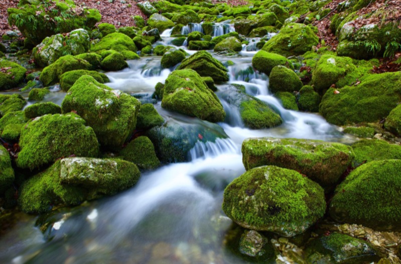 torrente di montagna che scorre in mezzo alle rocce al fine di evidenziare la crisi idrica